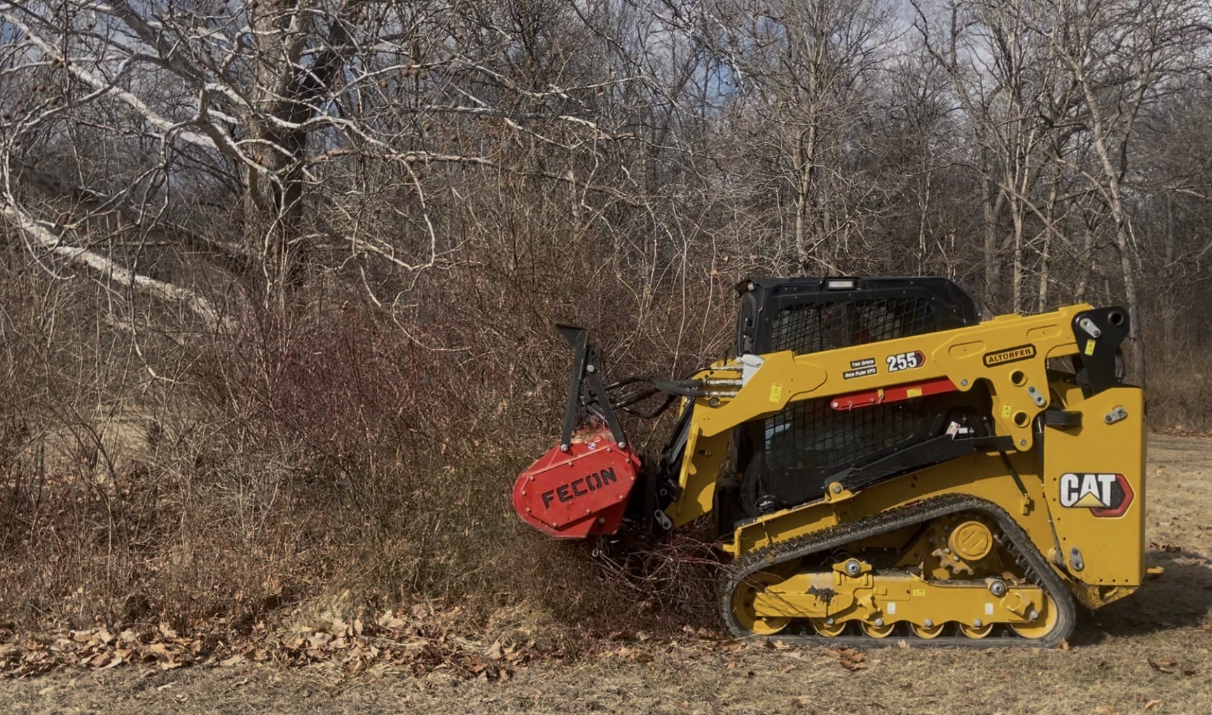 Forestry mulching with Cat 255 and Fecon mulcher